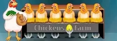 Chikens Farm