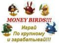 Заработок в интернете без вложений с выводом денег на карту Сбербанка: нюансы, о которых вы должны знать