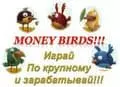 Money Birds игра